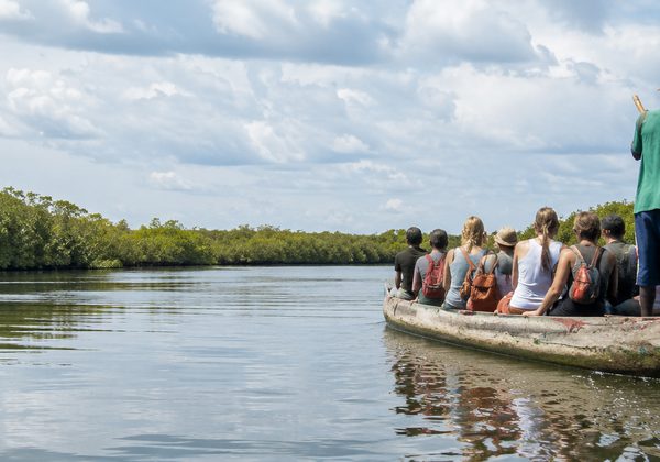 Excursion au Sénégal